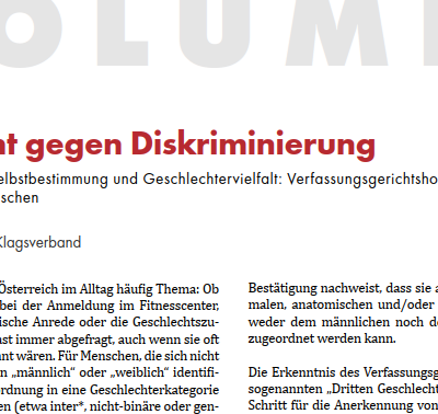 Screenshot der Kolumne "Mit Recht gegen Diskriminierung"