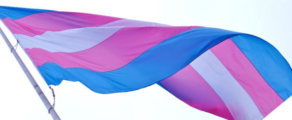 Die Flagge der Transgender-Community im Wind. Waagrechte Streifen: Hellblau-Pink-Weiß-Pink-Hellblau